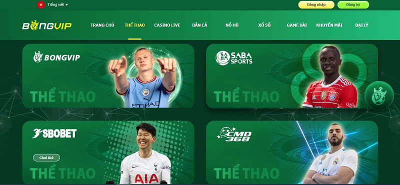 Những chiến thuật tiến lên đỉnh cao giúp bạn chiến thắng mọi ván bài Những chiến thuật tiến lên đỉnh cao giúp bạn chiến thắng mọi ván bài